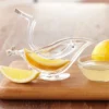 Lemon Slice Extractor